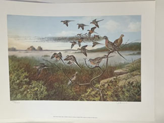 Partridges Print